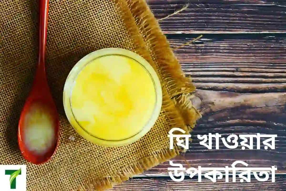 ঘি খাওয়ার উপকারিতা কি কি তা বলা হয়েছে