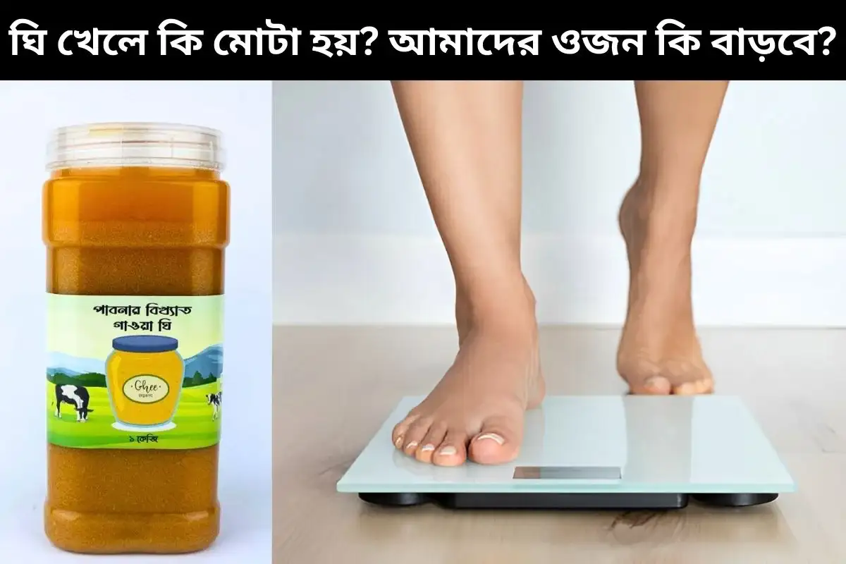 ঘি খেলে কি মোটা হয় বা ওজন বাড়বে