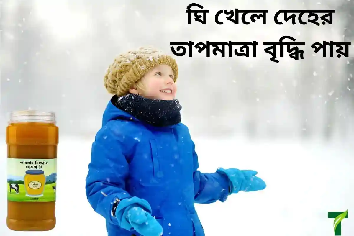 ঘি খেলে দেহের তাপমাত্রা বৃদ্ধি পায়