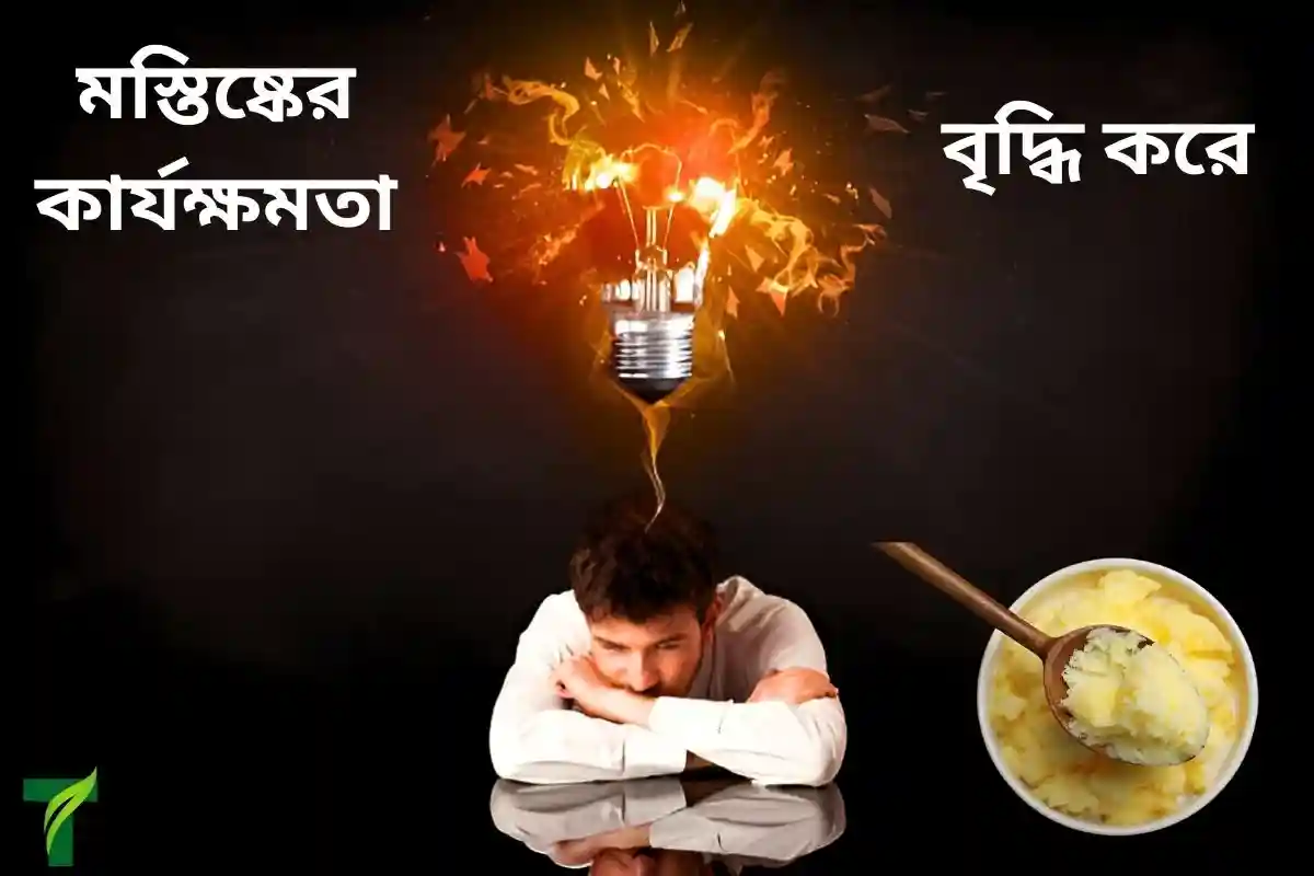 ঘি মস্তিষ্কের কার্যক্ষমতা বৃদ্ধি করে