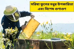 Read more about the article সরিষা ফুলের মধুর উপকারিতা কি? সরিষা ফুলের মধু কি জমে যায়?