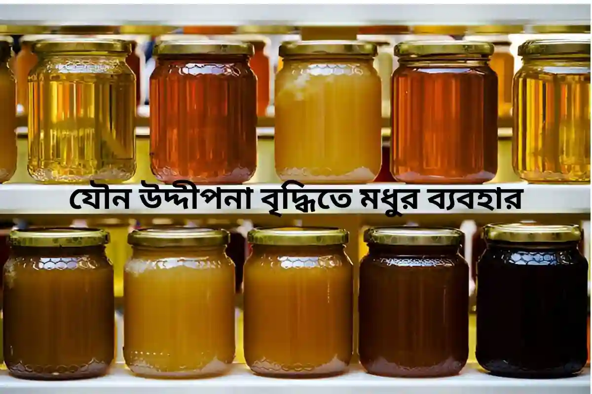 সেক্সে মধুর উপকারিতা: সম্পর্কের গভীরতা বৃদ্ধি ও মানসিক স্বাস্থ্যের উন্নতি