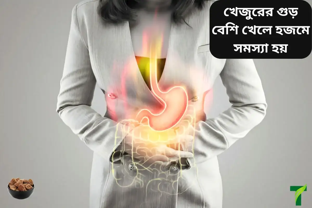 খেজুরের গুড় বেশি খেলে হজমে সমস্যা হয়