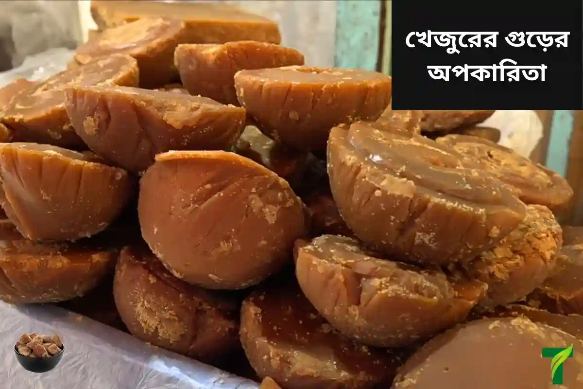 খেজুরের গুড়ের অপকারিতা