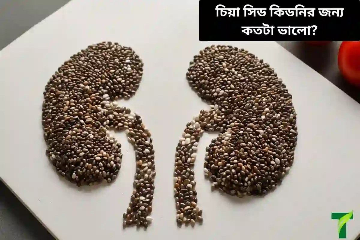 চিয়া সিড কিডনির জন্য কতটা ভাল