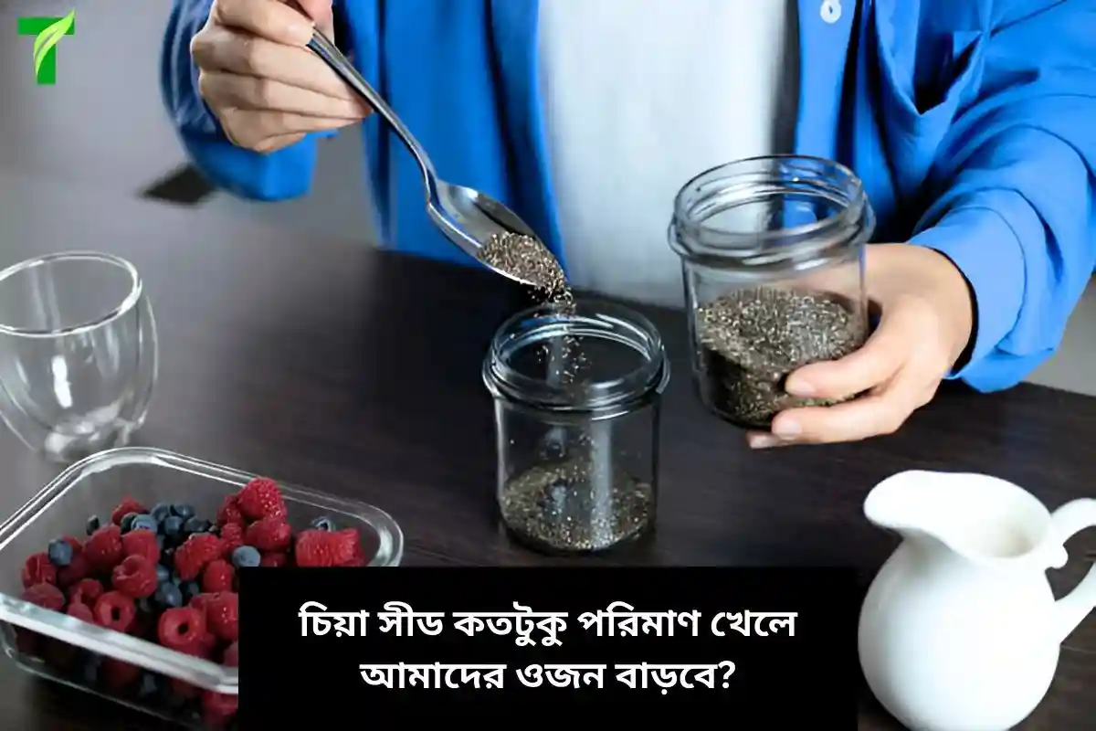 চিয়া সিড খেলে কি ওজন বাড়ে?