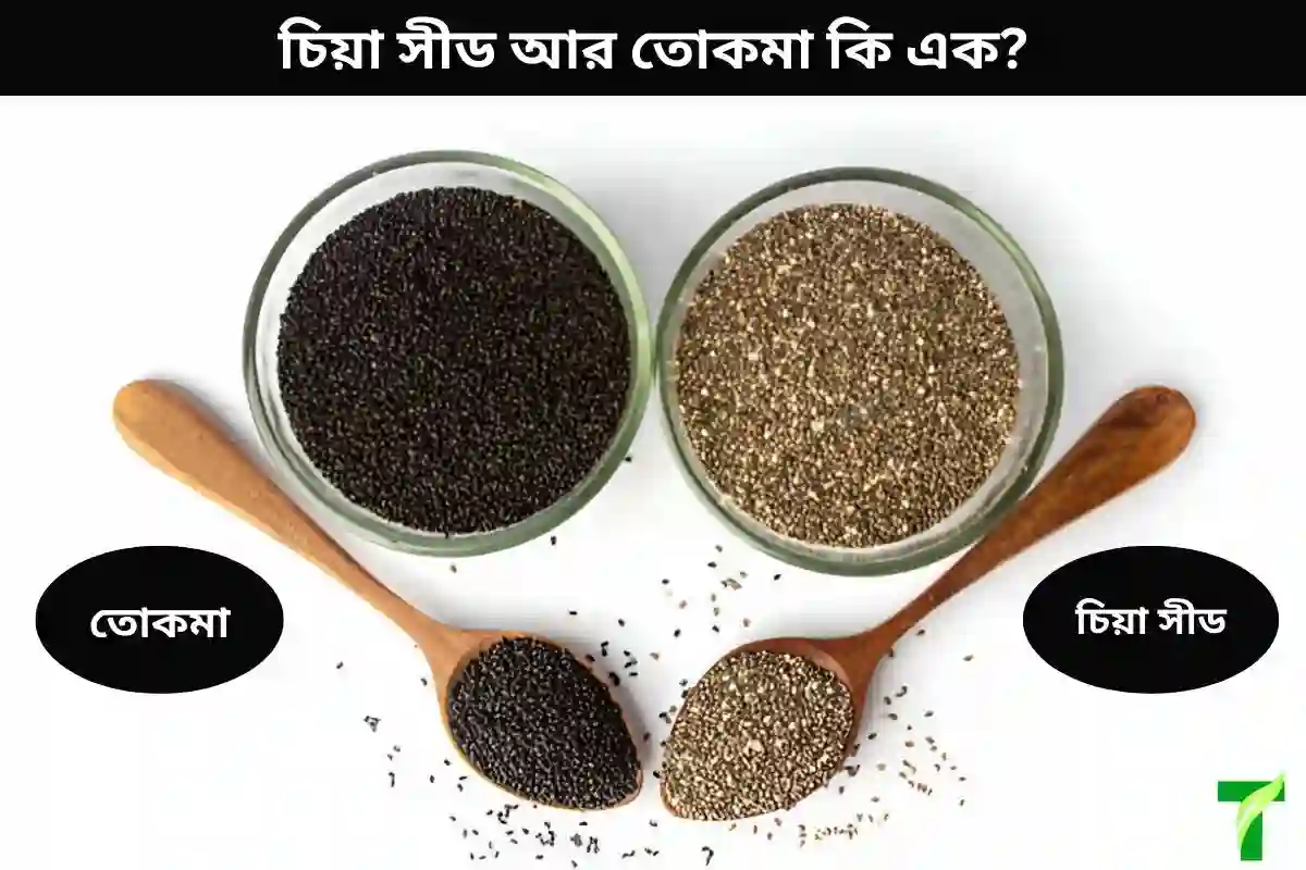 চিয়া সিড আর তোকমা কি একই?