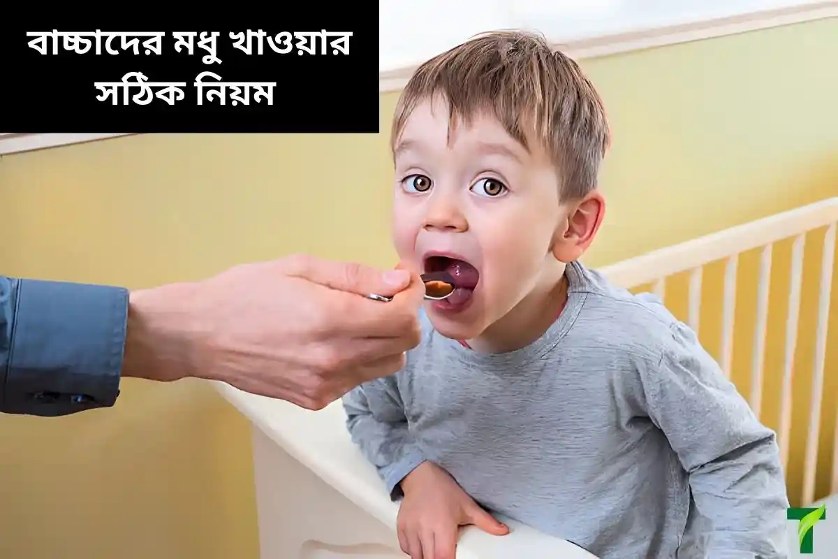 বাচ্চাদের মধু খাওয়ার নিয়ম