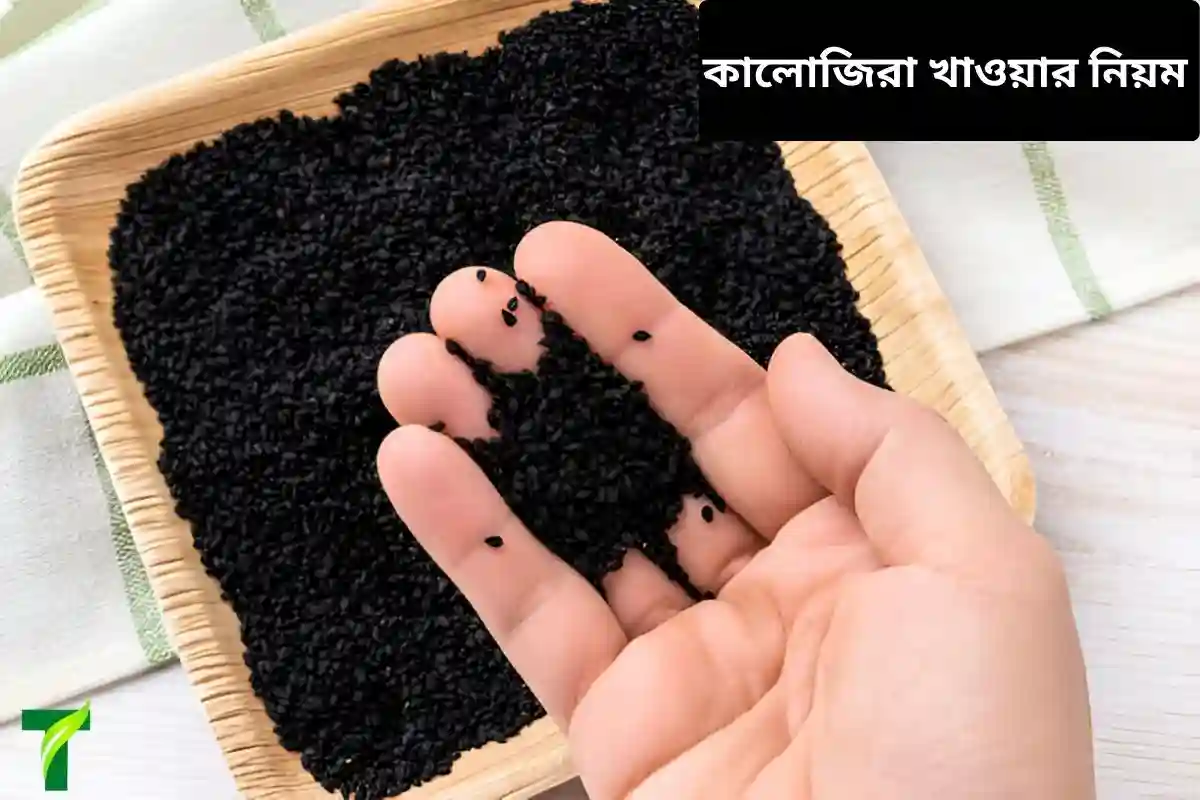 কালোজিরা খাওয়ার বিশেষ নিয়ম