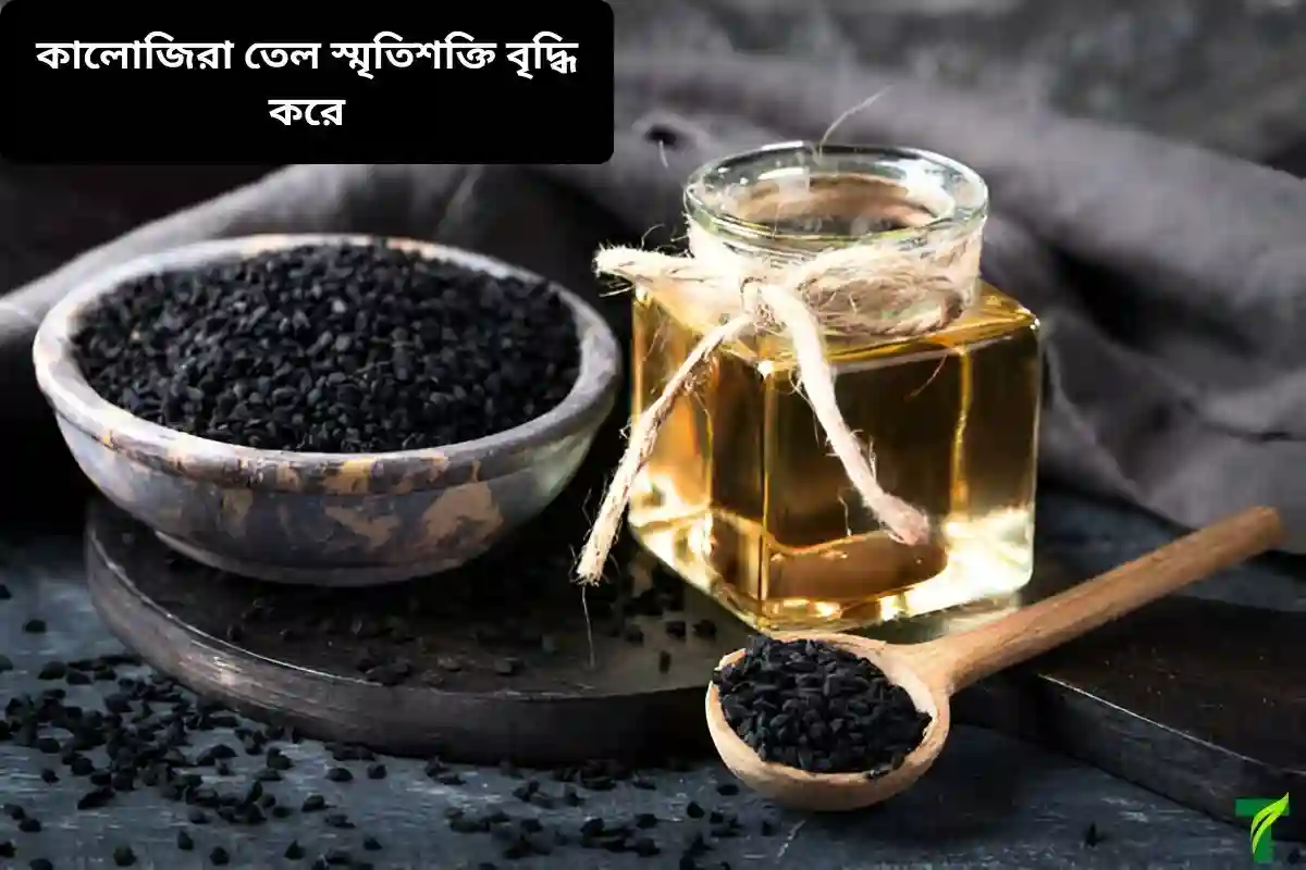 কালোজিরা তেল স্মৃতিশক্তি বৃদ্ধি করে