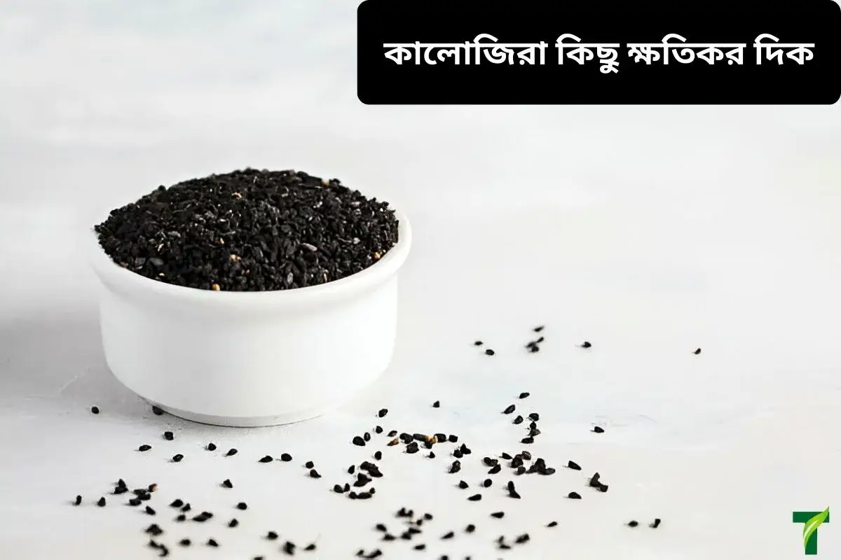 কালোজিরার ক্ষতিকর দিক কি কি