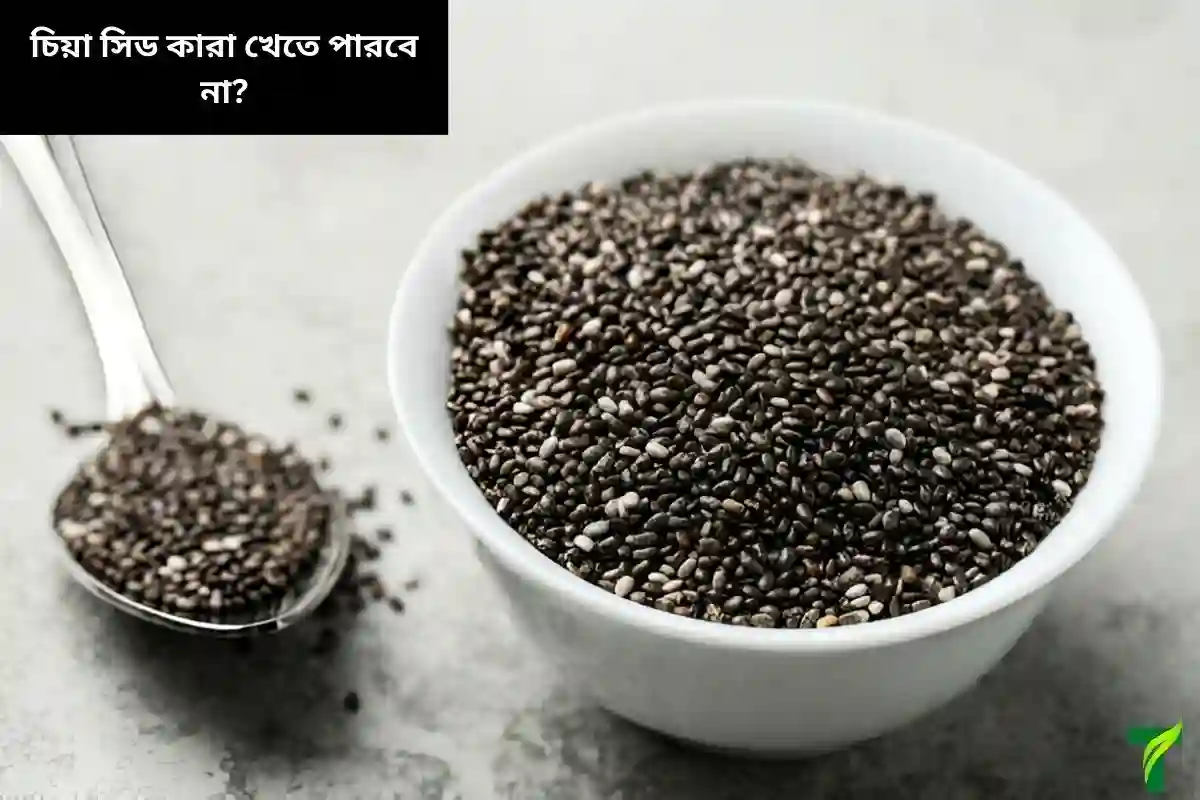 চিয়া সিড কারা খেতে পারবে না