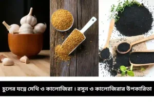 Read more about the article চুলের যত্নে মেথি ও কালোজিরা | রসুন ও কালোজিরার উপকারিতা কি?