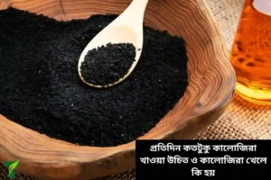 প্রতিদিন ঠিক কতটুকু কালোজিরা খাওয়া উচিত? কালোজিরা খেলে কি হয় ও রাতে খেলে কি সুবিধা পাওয়া যায়?