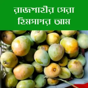 রাজশাহীর বিখ্যাত হিমসাগর আম