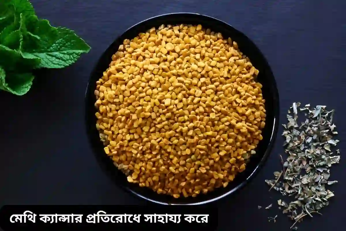 মেথি ক্যান্সার প্রতিরোধে সাহায্য করে