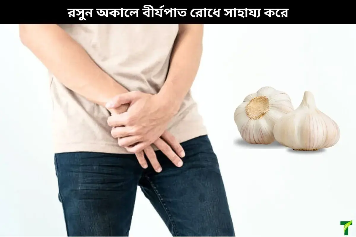 অকালে বীর্যপাত রোধে উপকারী এই রসুন