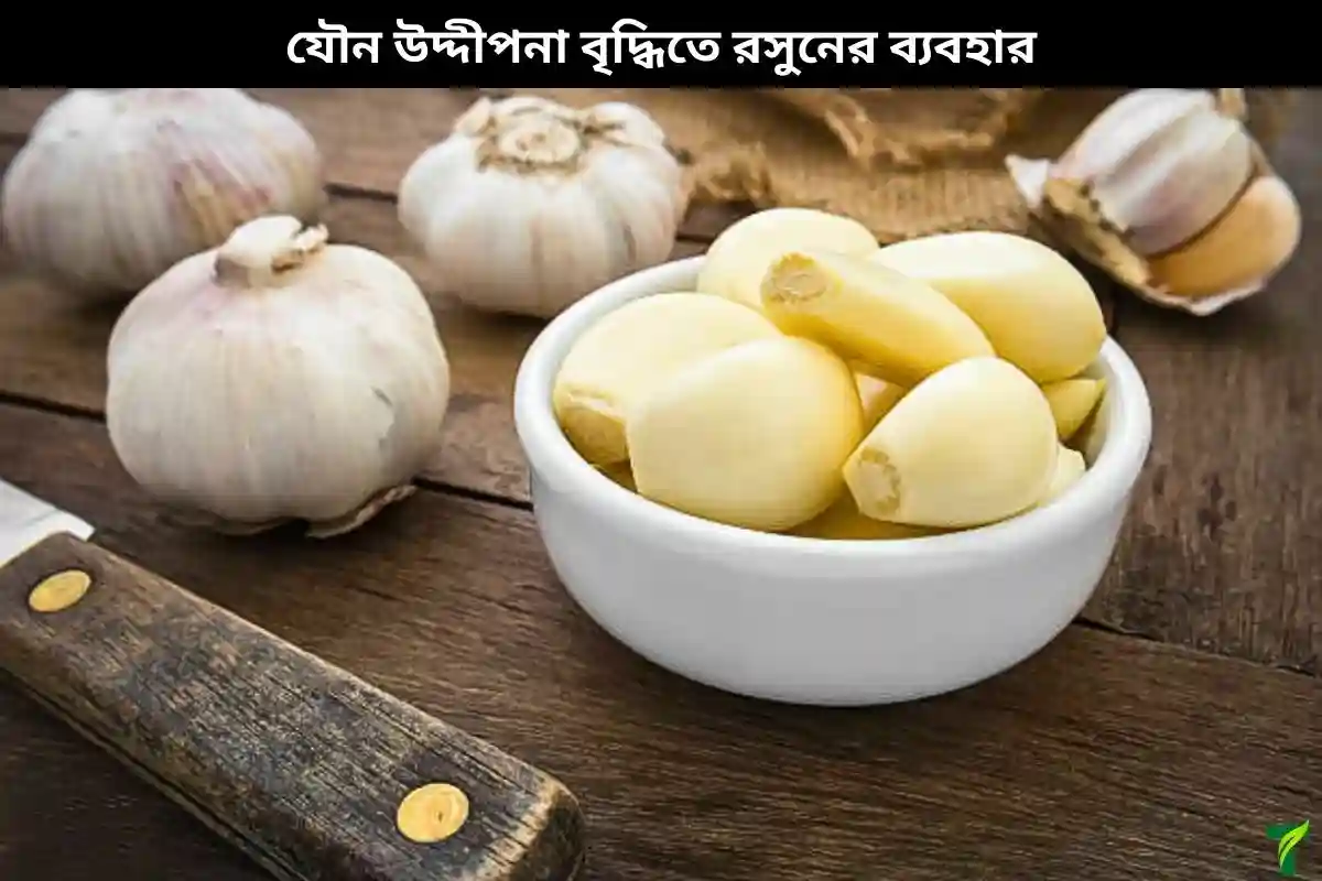 যৌন উদ্দীপনা বৃদ্ধিতে রসুনের ব্যবহার