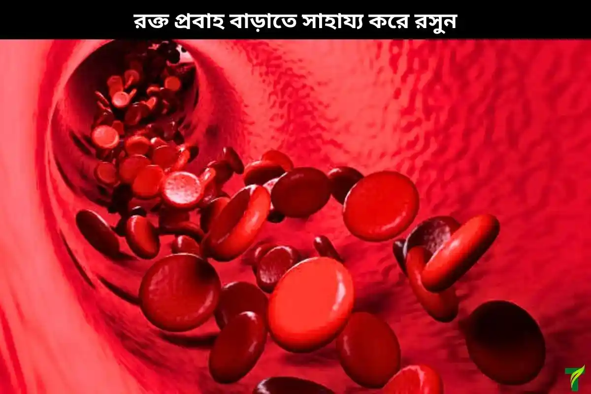 রসুন রক্ত প্রবাহ বাড়াতে সাহায্য করে